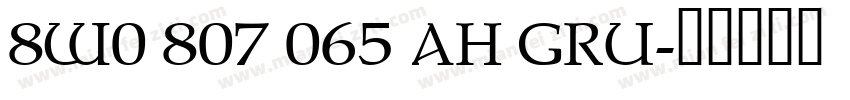 8W0 807 065 AH GRU字体转换